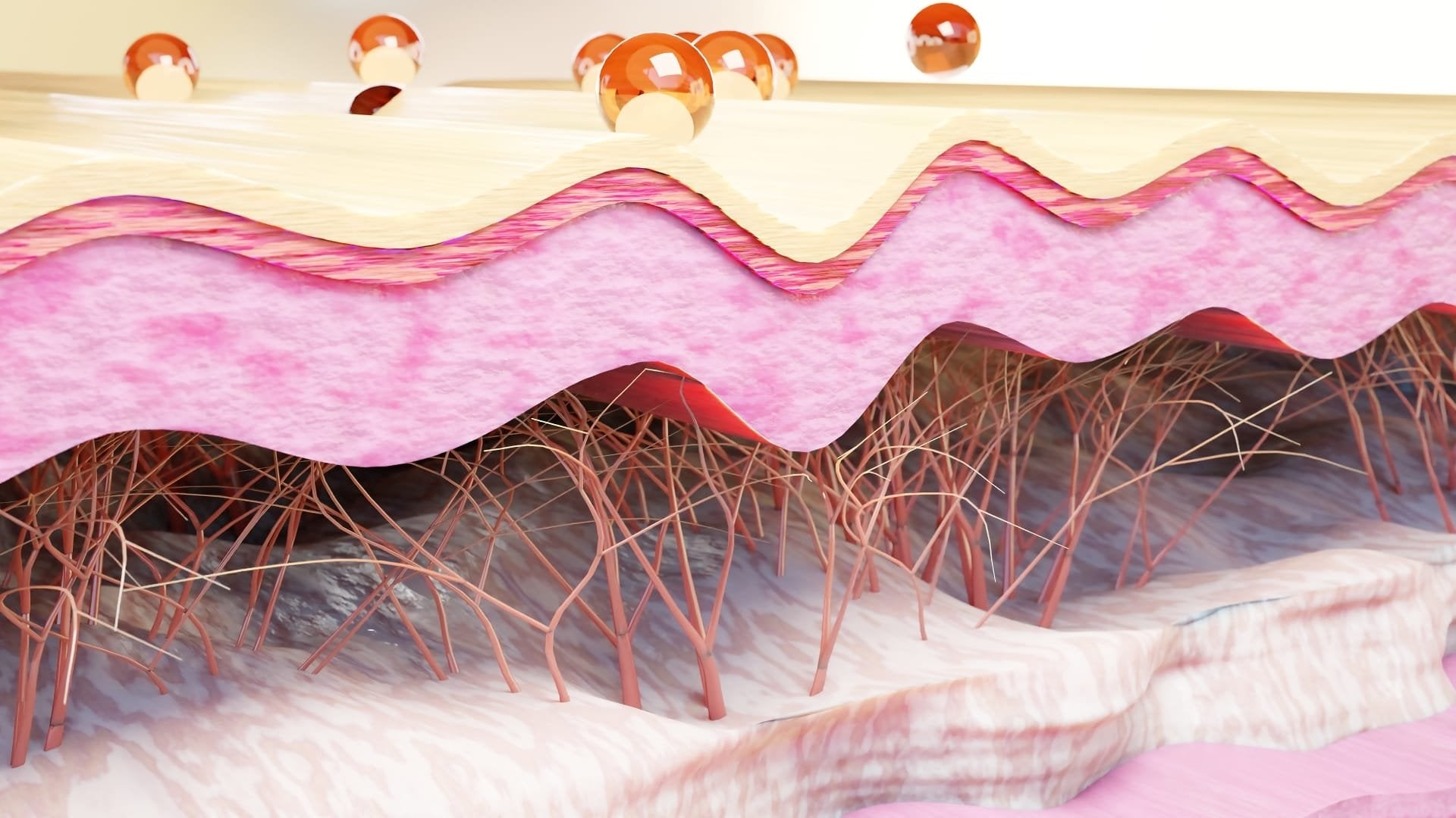 Turn Back Time: The Power of Collagen in Transforming Your Eye Area